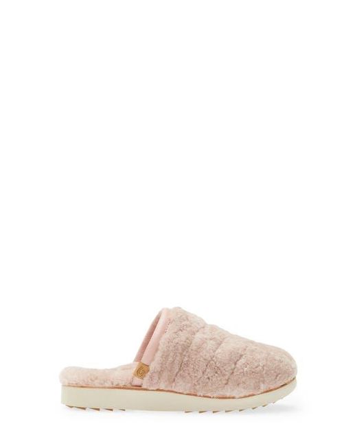 OluKai Women's Pupu Mua Slippers- Pink Sea Salt