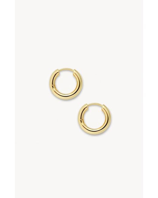 Machete Metallic Petite Hoops