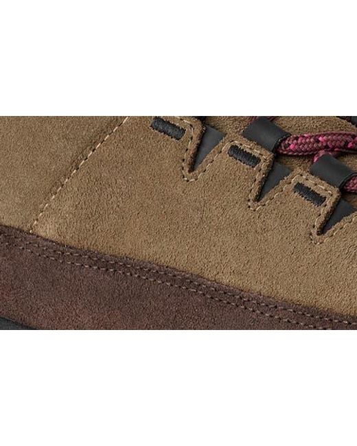 Ugg Brown Terretrail Cozy Waterproof Winter Boot