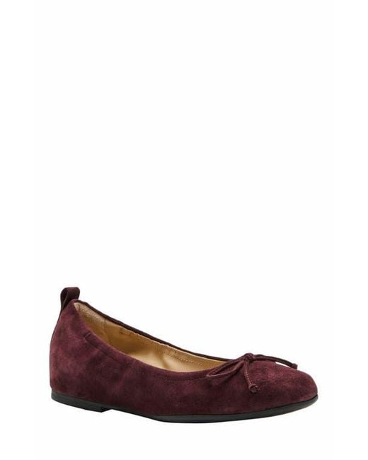 ABEO Brown Cadence Bow Ballet Flat
