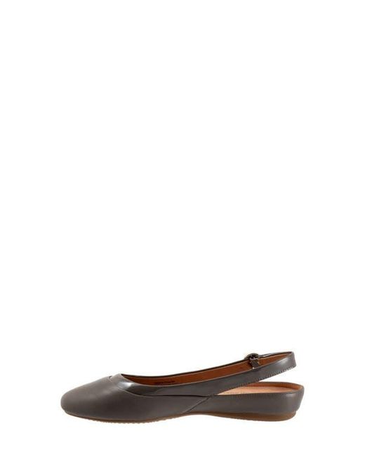 Softwalk® Brown Sheffield Slingback Flat