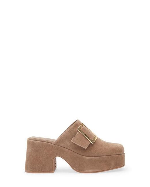Chocolat Blu Brown Haze Platform Mule