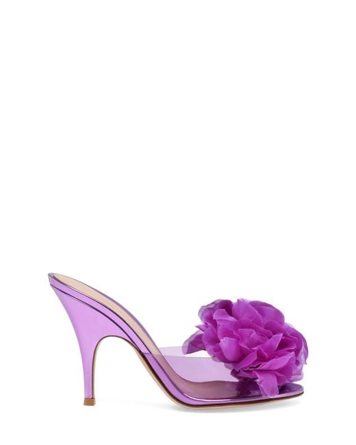 Gianvito Rossi Purple Igea