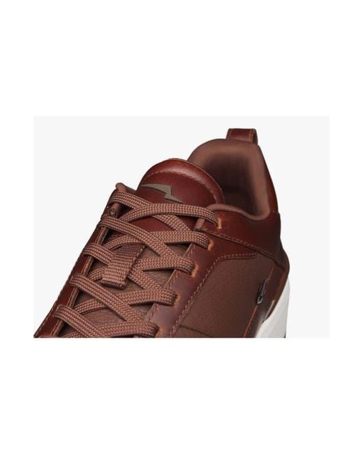 Wolf & Shepherd Brown Baller Sneaker for men