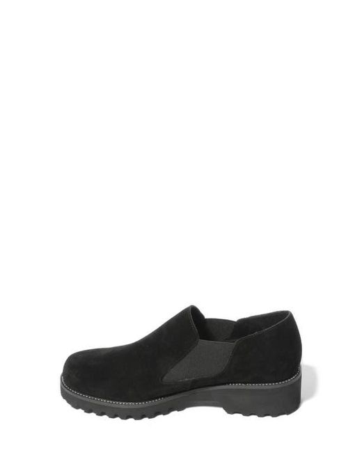 Vaneli Black Zivana Weatherproof Oxford