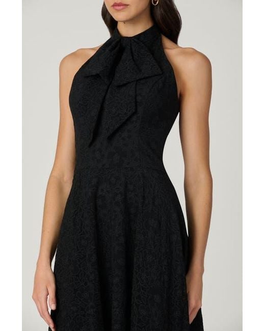 Shoshanna Black Midnight Jill Santo Organza Dress