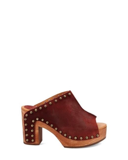 Dingo Brown Echo Clog