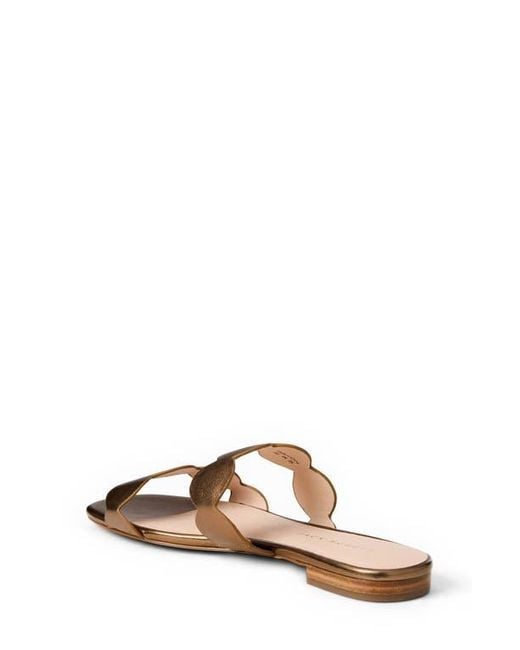 Jack Rogers Brown Greglen Two-Strap Sandal