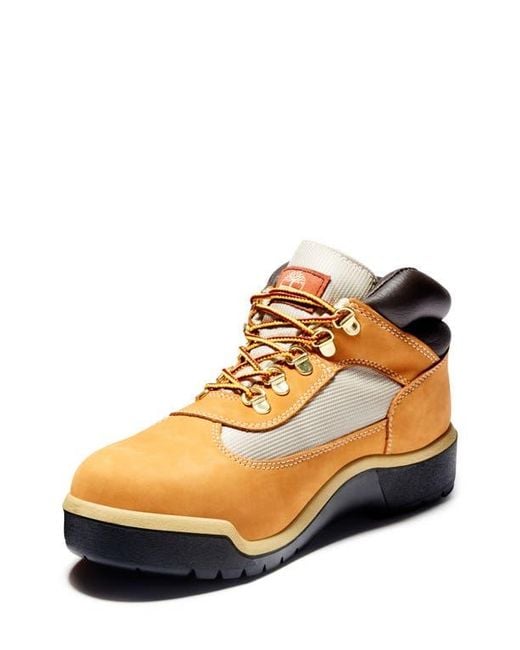 Timberland Brown Field Waterproof Boot for men