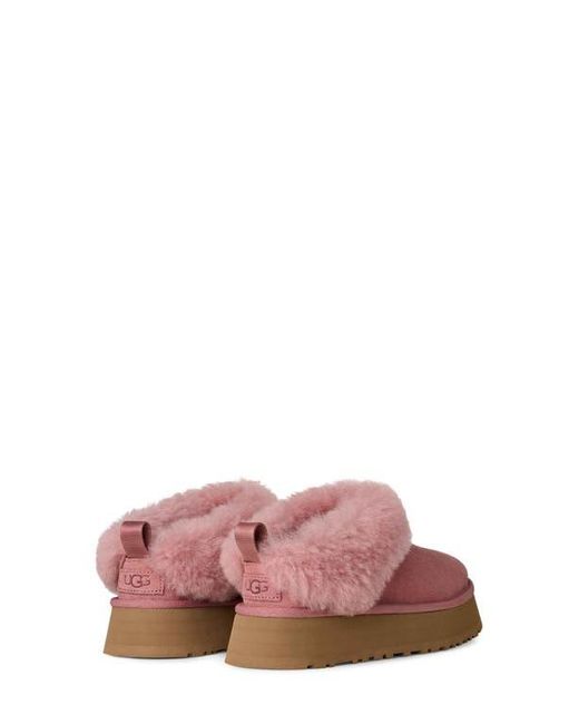 Ugg Pink Tazzelle Genuine Shearling Collar Slipper