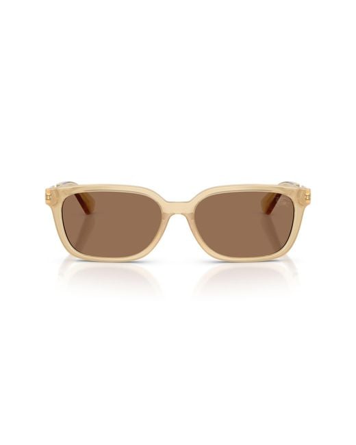 Burberry Brown 54Mm Rectangular Sunglasses