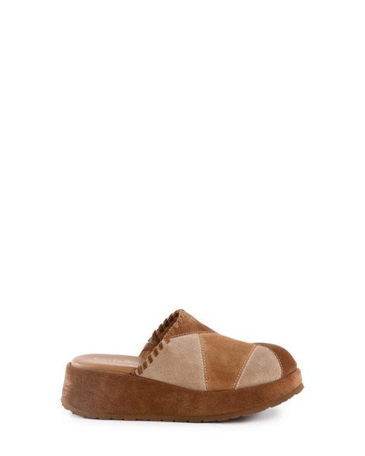 Seychelles Brown Whammy Platform Clog