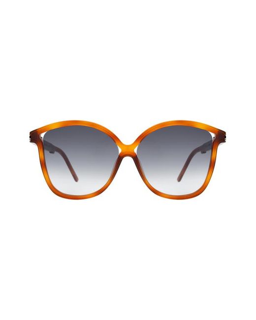 Illesteva Blue Nancy Sunglasses