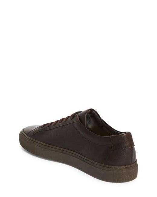Common Projects Brown Achilles Premium Sneaker for men