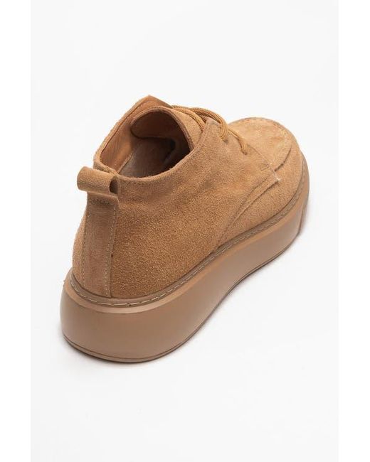 Forever & Always Shoes Brown Lilya Leather Chukka Boot