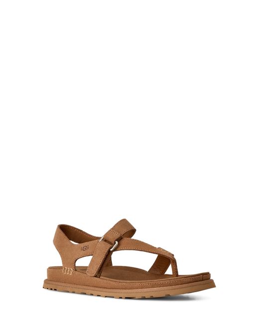 Ugg Brown Goldengaze Toe Post Suede Sandal