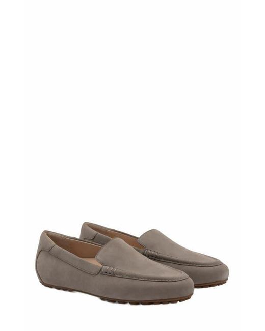 ABEO Brown Harbor Loafer