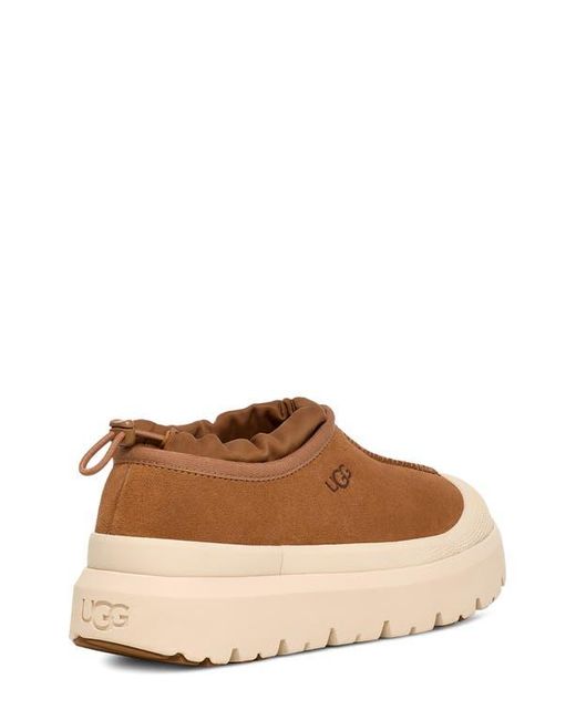 Ugg Brown ugg(r) Tasman Waterproof Hybrid Slip-on Shoe for men