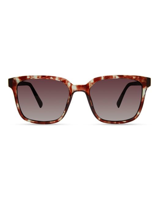 Eco Black Miller Sunglasses