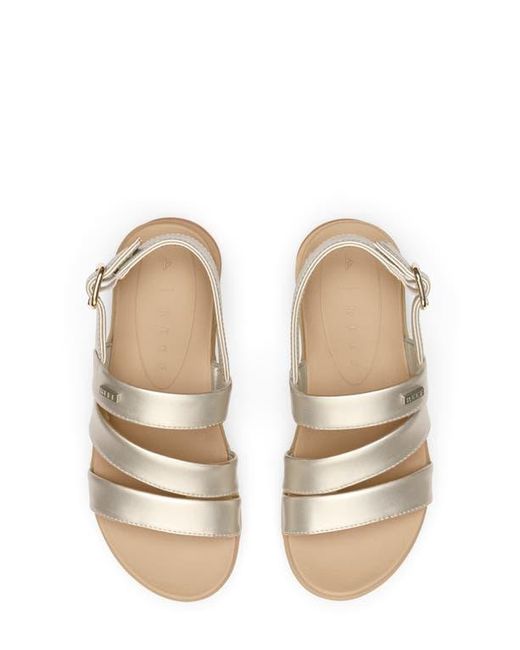 Reef Metallic Aura Escape Slingback Sandal