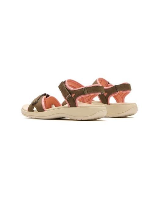 ABEO Pink Goleta