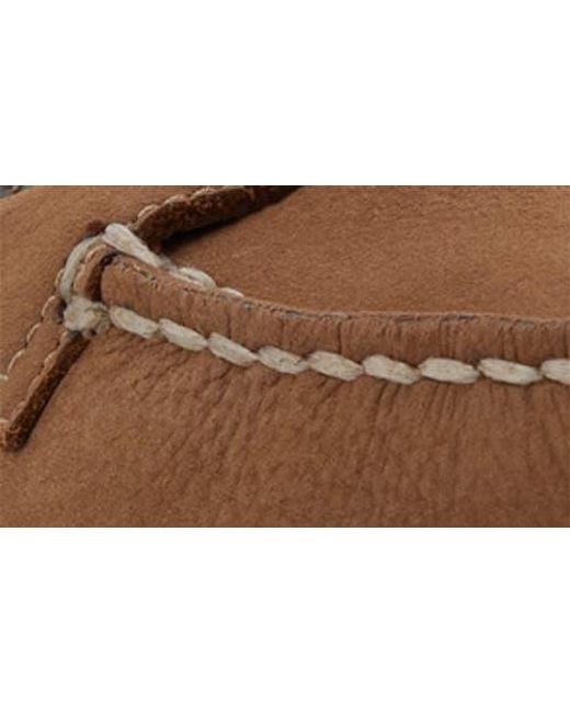 Sperry Top-Sider Brown Authentic Original 2-Eye Boat Shoe