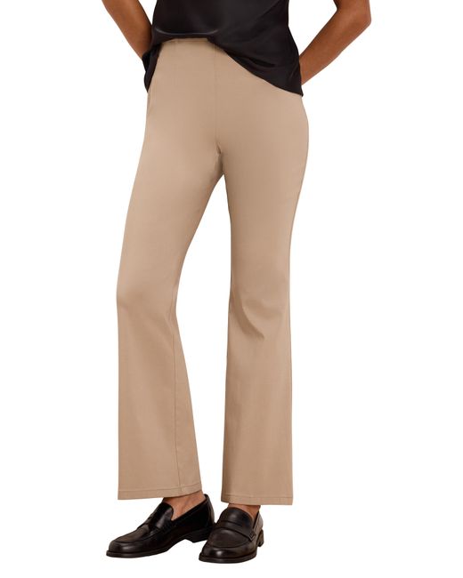 NIC+ZOE Brown Berkeley Bootcut Stretch Pants