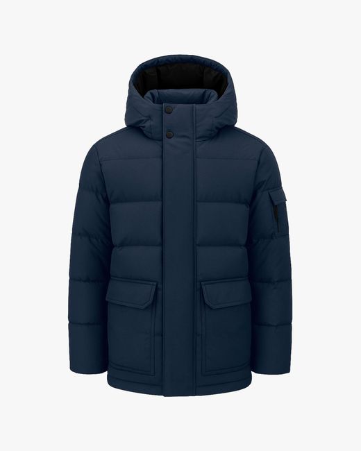 Quartz Co. Blue Alexander for men