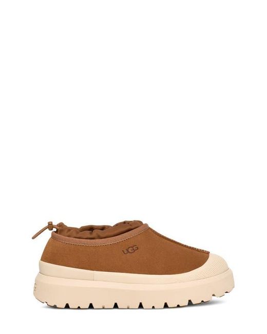 Ugg Brown ugg(r) Tasman Waterproof Hybrid Slip-on Shoe for men