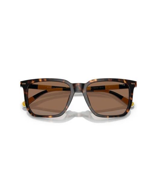 Polo Ralph Lauren Brown 55Mm Rectangular Sunglasses for men