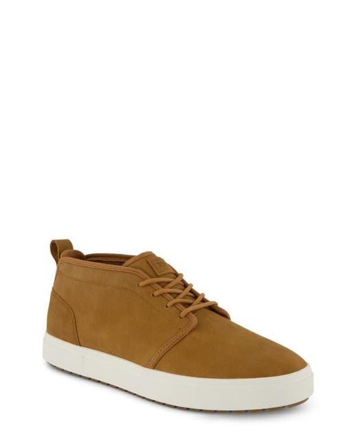 TOMS Brown Carlo Mid Terrain 2.0 Sneaker for men