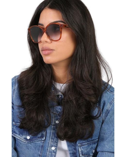 Illesteva Blue Nancy Sunglasses