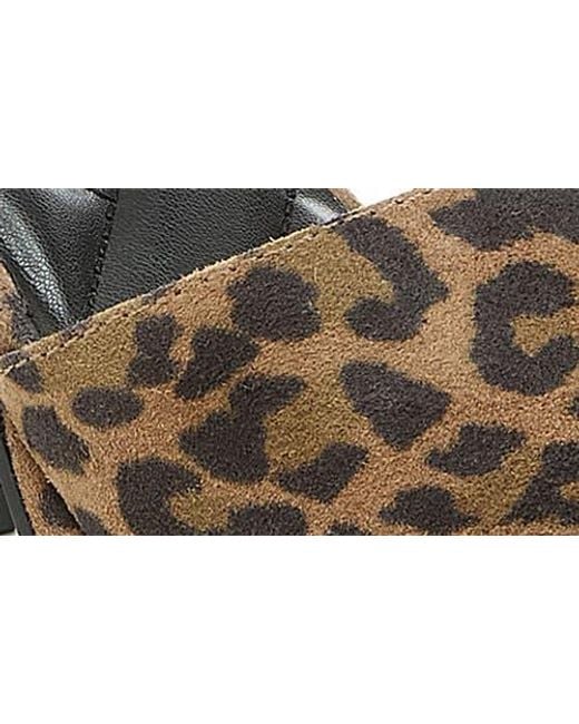 Kelsi Dagger Brooklyn Brown Edna Ankle Strap Platform Pump