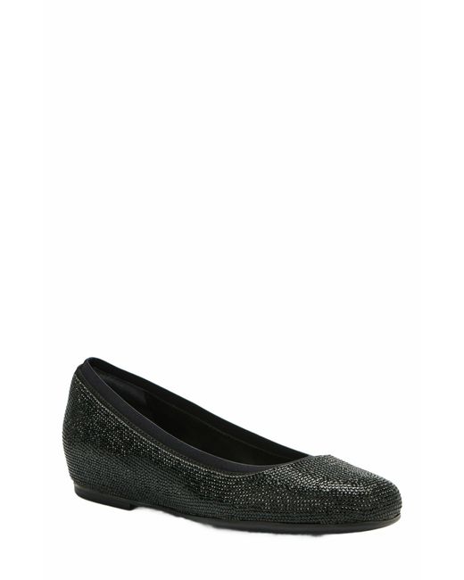 ABEO Black Cadence Ballet Flat