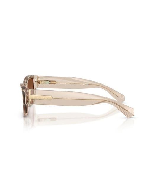 Tiffany & Co Brown 54Mm Rectangular Sunglasses