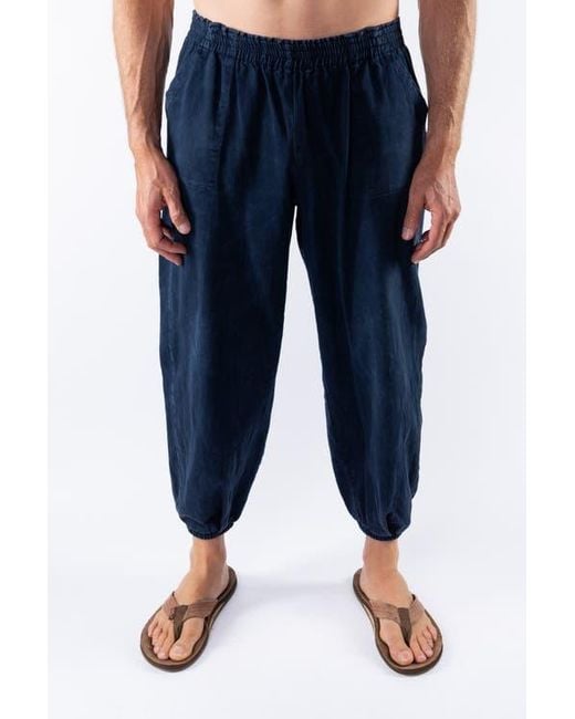 Ariko Blue Day Pants
