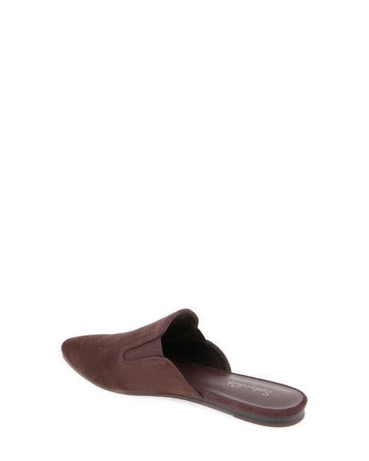 Splendid Brown Liza Mule