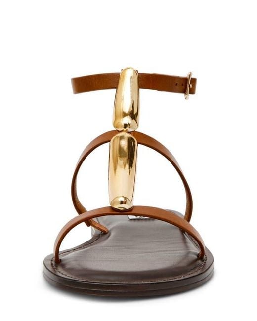 Steve Madden Brown Alma Gladiator Sandal