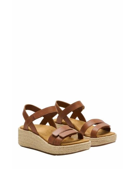 ABEO Brown Solstice Strap