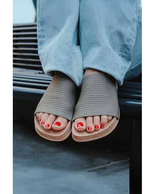 Message Multicolor Shaw Slide