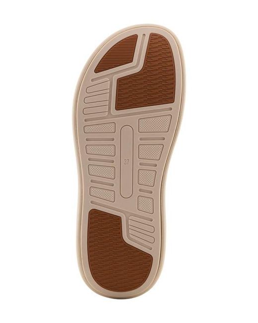 Flexus by Spring Step Gray Brewer Slide Sandal