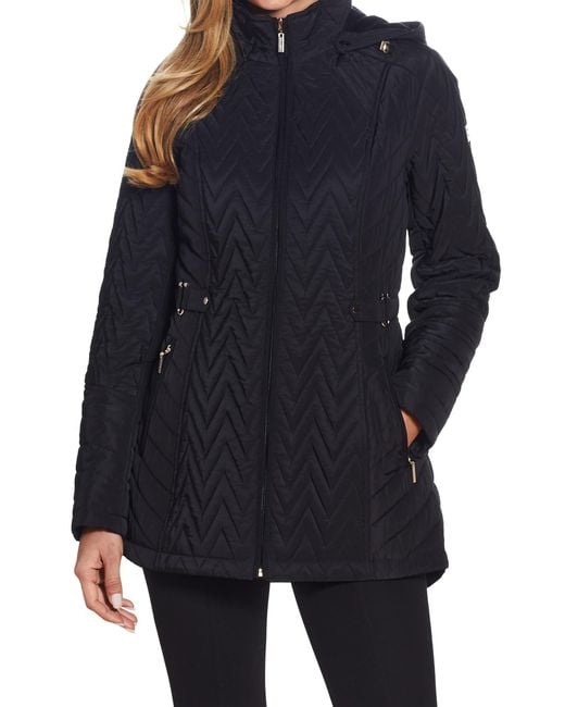 Gallery Blue Hooded Quilted Jacket