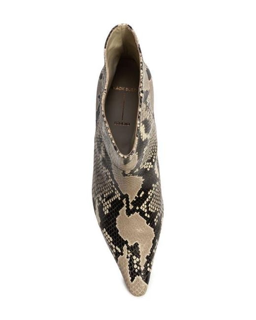 Black Suede Studio Brown Avenue 50 Pointed Toe Kitten Heel Bootie