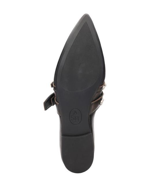 Ash Black Britnie Pointed Toe Flat