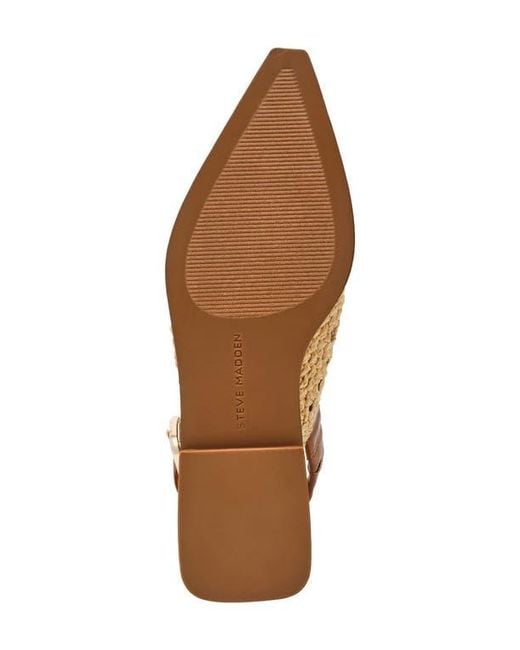 Steve Madden Brown Shay Pointed Toe Slingback Flat