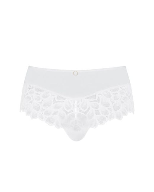 Panache Brown Allure Lace Cheeky Briefs