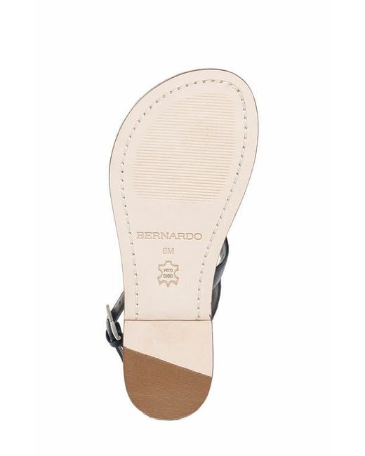 Bernardo Brown Maverick 2 Toe Loop Sandal