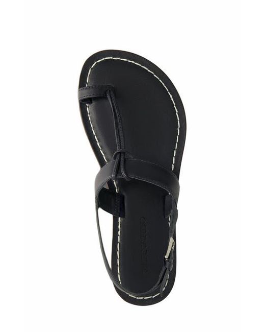 Bernardo Brown Maverick 2 Toe Loop Sandal