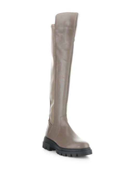 Bos. & Co. Brown Fifth Waterproof Knee High Boot