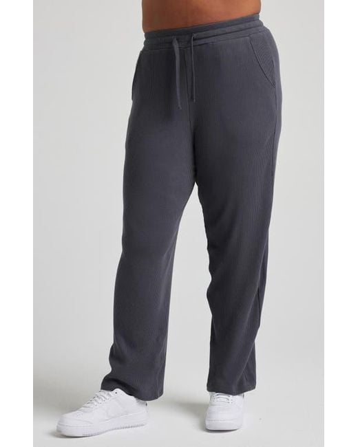 Losano Blue Organic Cotton Drawstring Pant